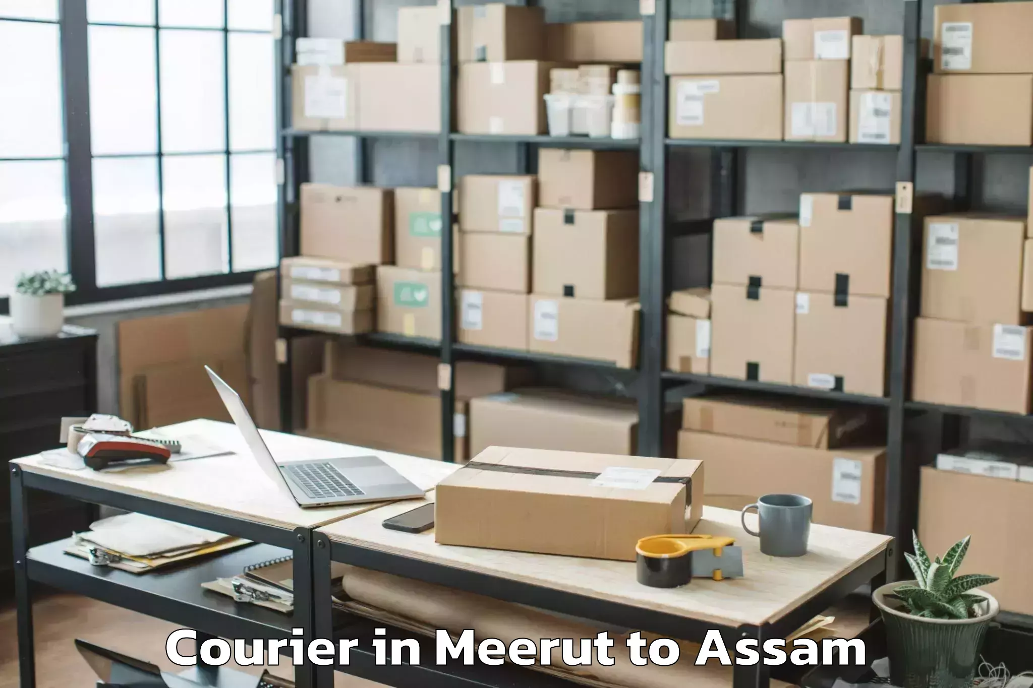 Top Meerut to Chhaygaon Courier Available